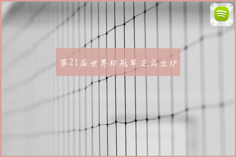 第21届世界杯冠军正式出炉